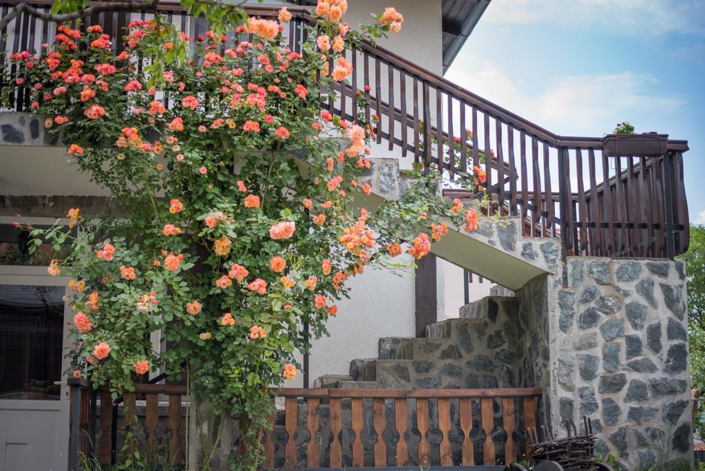 Guest House Via Sapareva Banya Exterior foto